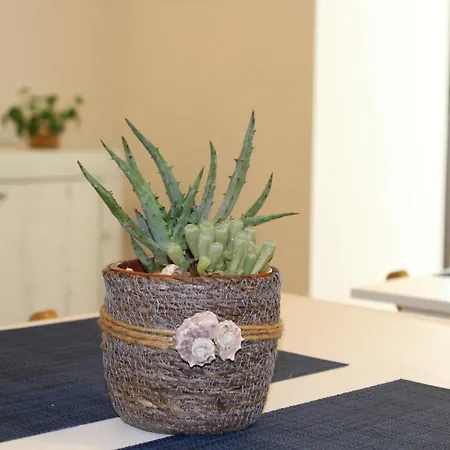 בית הארחה Pietre Del Mare צ'יביטאנובה מארקה